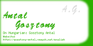 antal gosztony business card